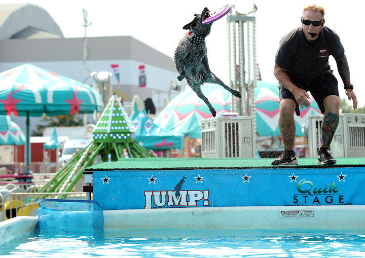 090121 NSF JUMP dog show JRS 2.jpg